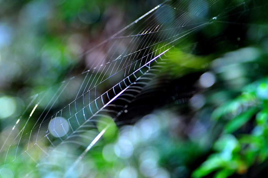 DSC_7136a.jpg