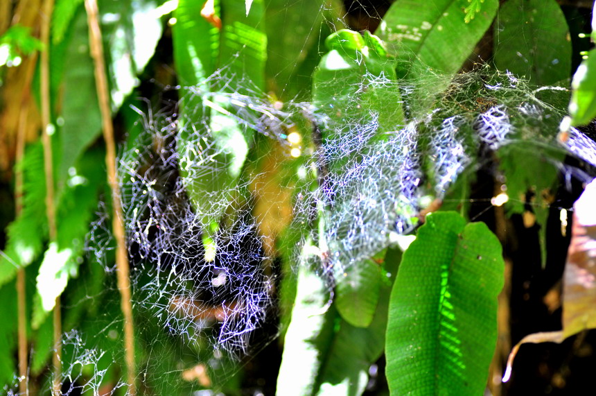 DSC_7503a.jpg