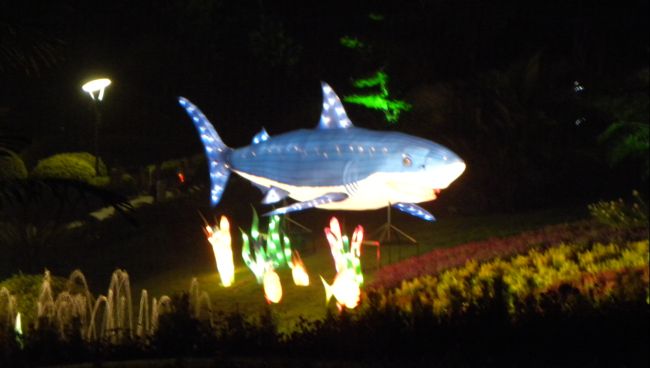 DSCN4312.JPG