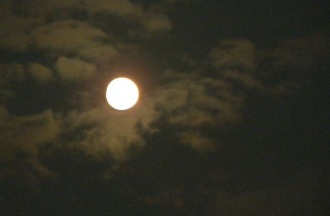 DSCN4298.JPG
