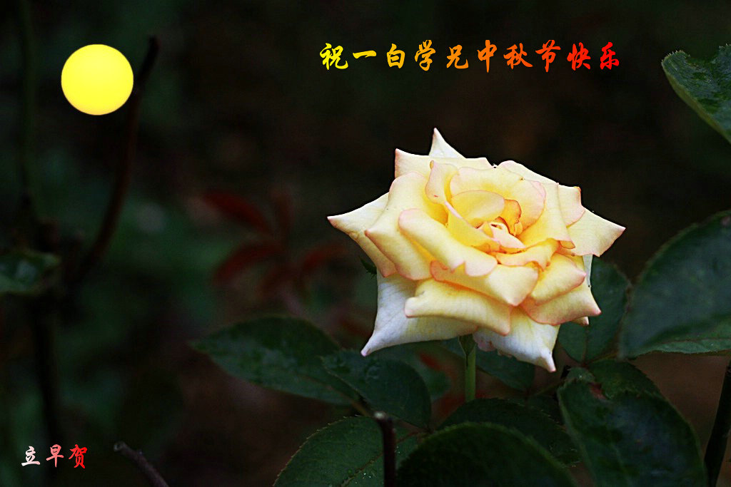 IMG_2267_conew1_.jpg