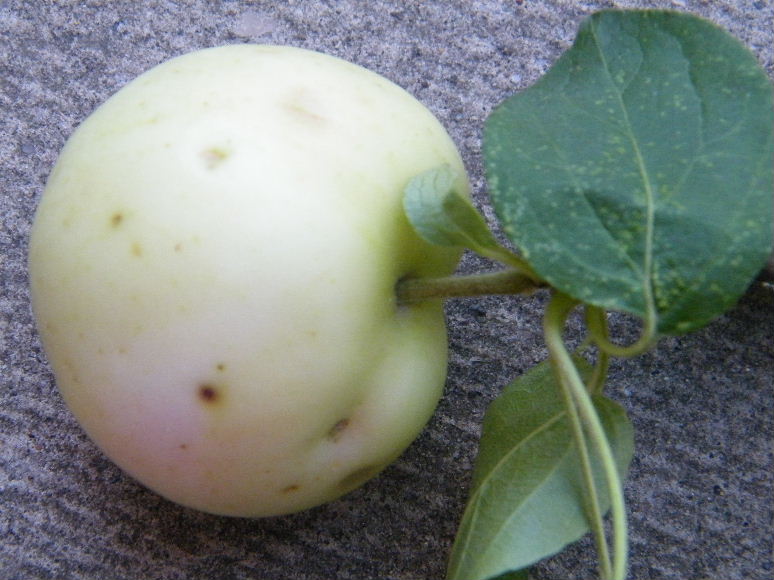 DSCF7634.JPG