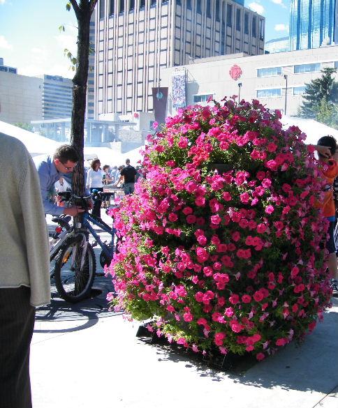 DSCF7135.JPG