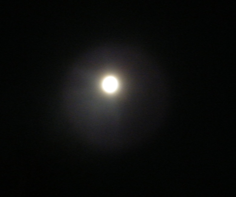 DSCF8436.JPG