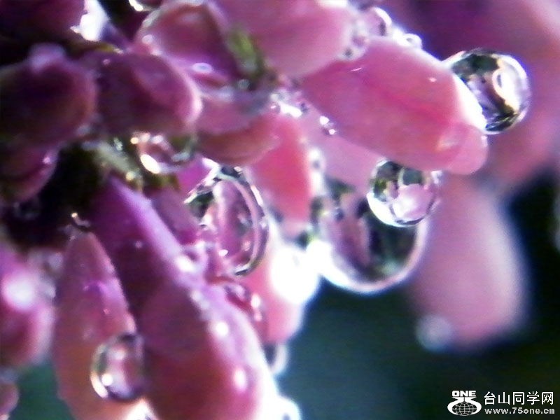 DSCF0414=1.jpg