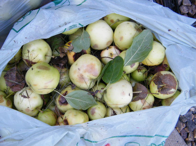 DSCF7626.JPG