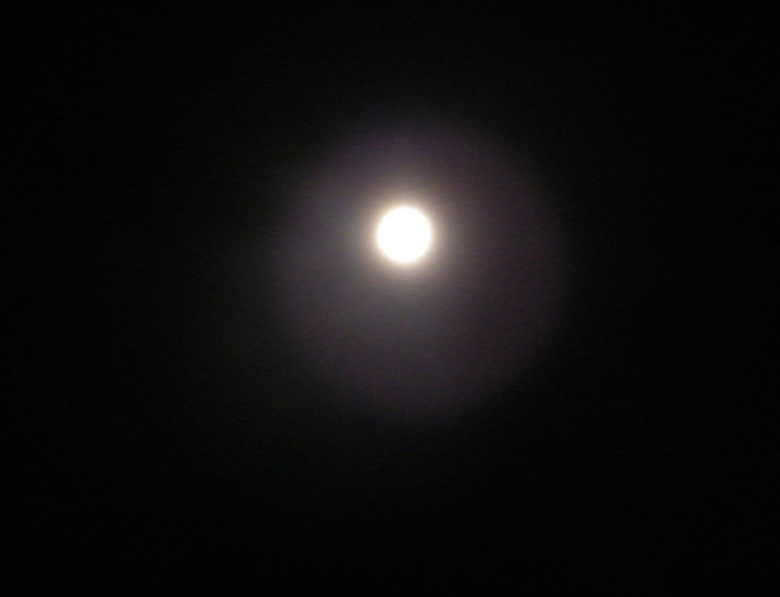 DSCF8432.JPG