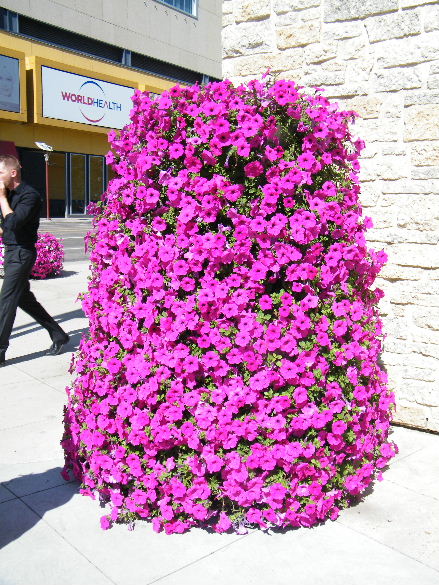 DSCF7163.JPG