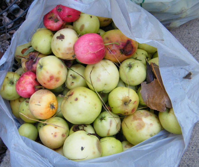 DSCF7625.JPG