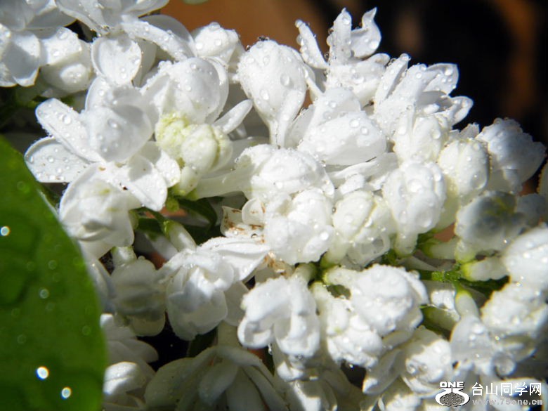DSCF9837=0.jpg