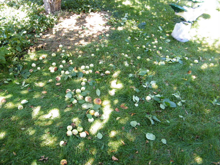 DSCF7628.JPG