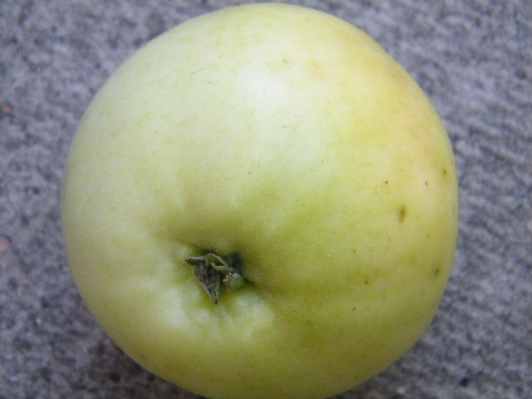 DSCF7633.JPG