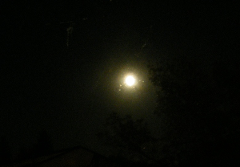 DSCF8457.JPG