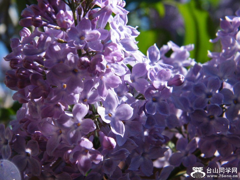 DSCF9828.JPG
