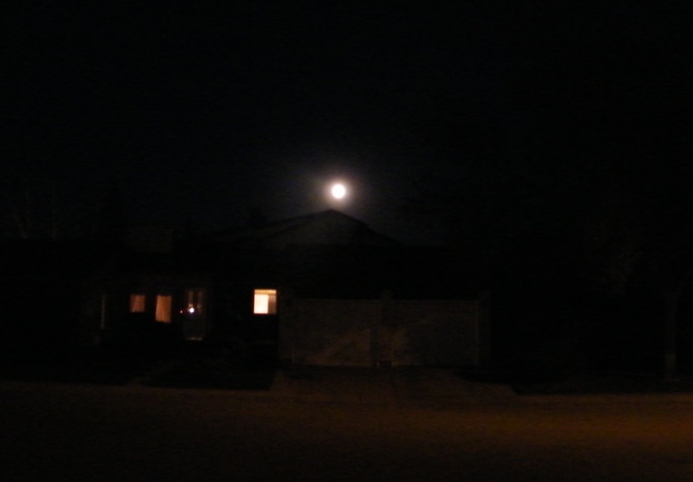 DSCF8446.JPG