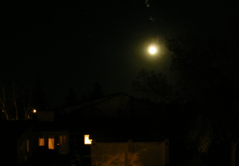 DSCF8456.JPG