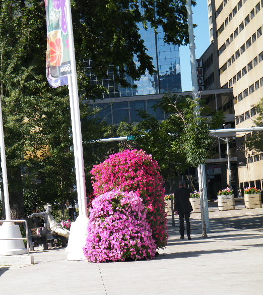DSCF7136.JPG