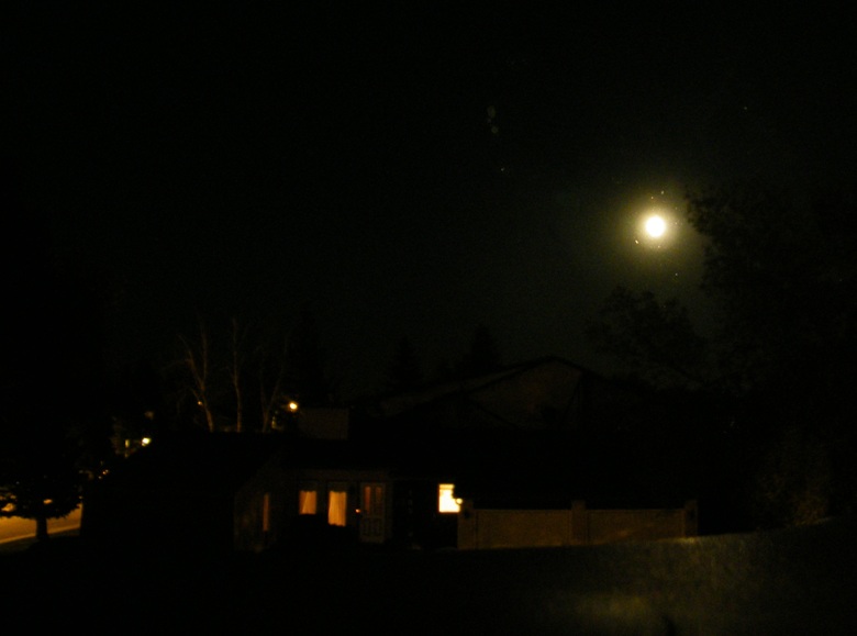 DSCF8458.JPG