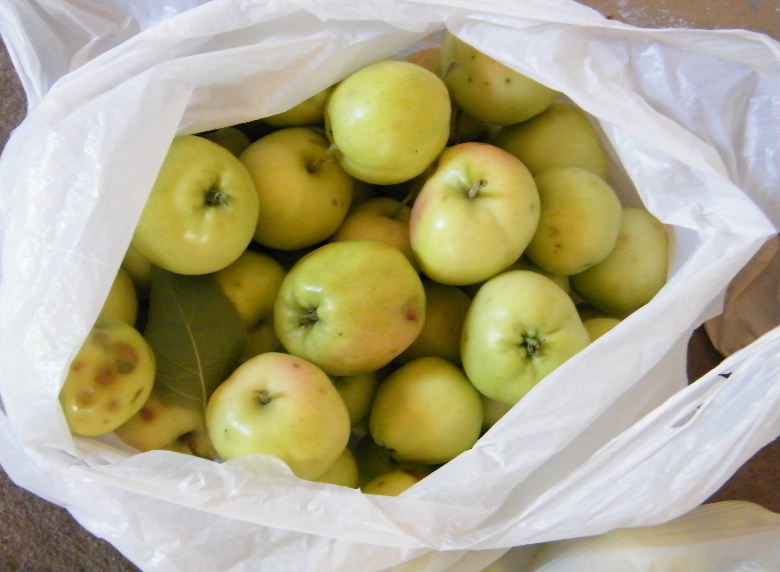 DSCF7623.JPG