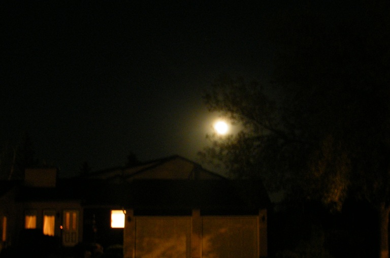 DSCF8453.JPG