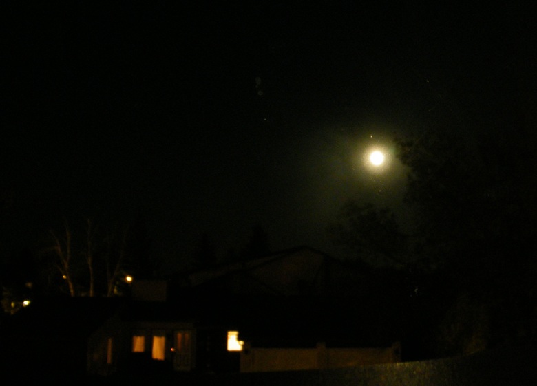 DSCF8461.JPG