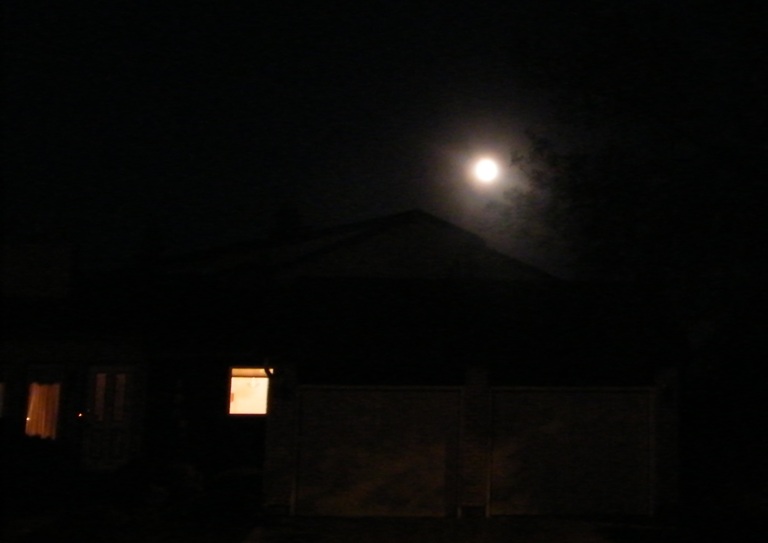 DSCF8449.JPG