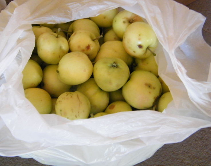 DSCF7622.JPG
