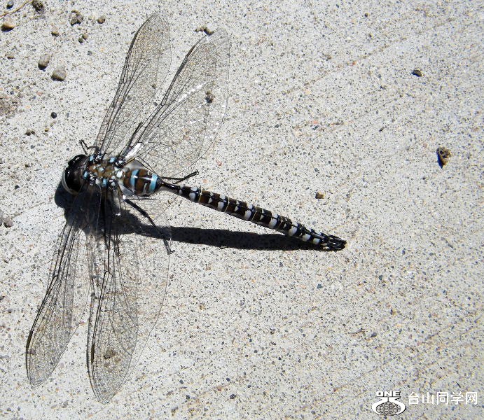 DSCF1537.JPG