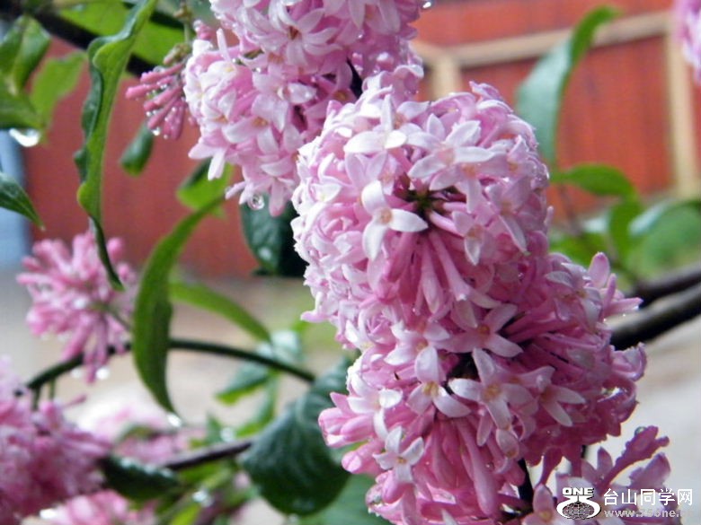 DSCF0419=0.jpg