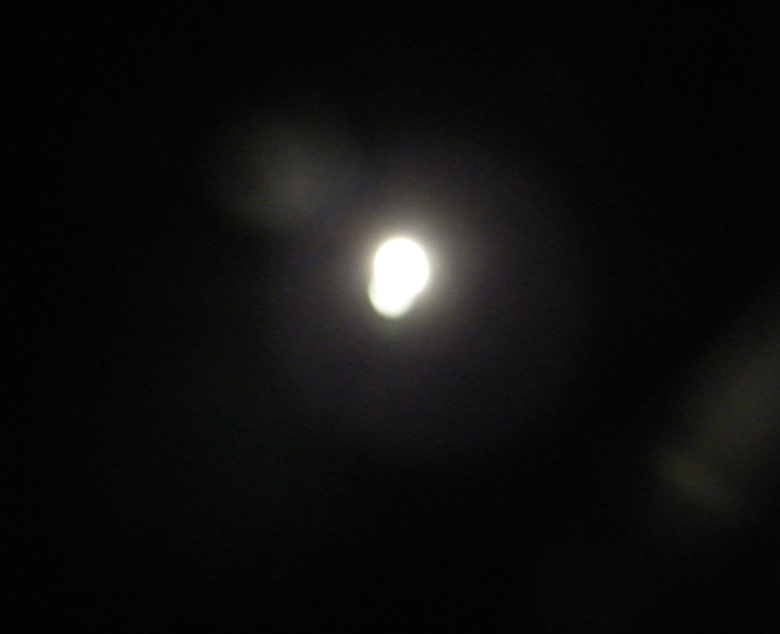 DSCF8440.JPG