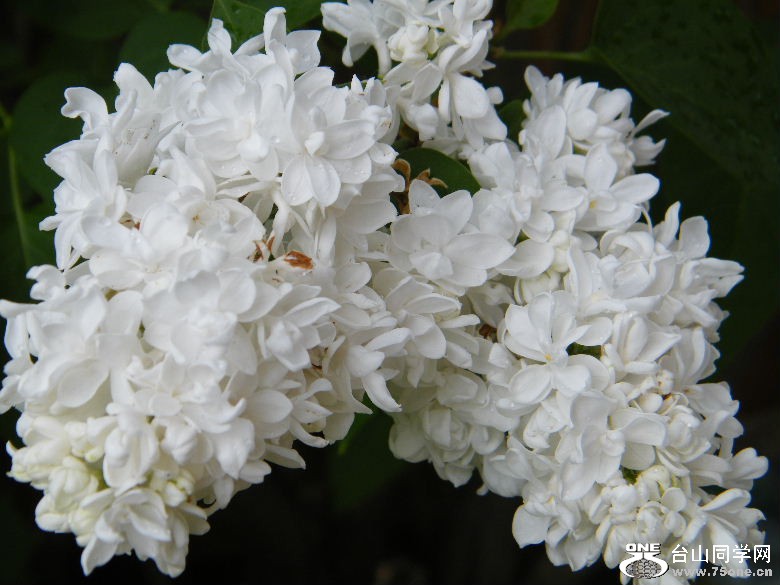 DSCF0186.JPG