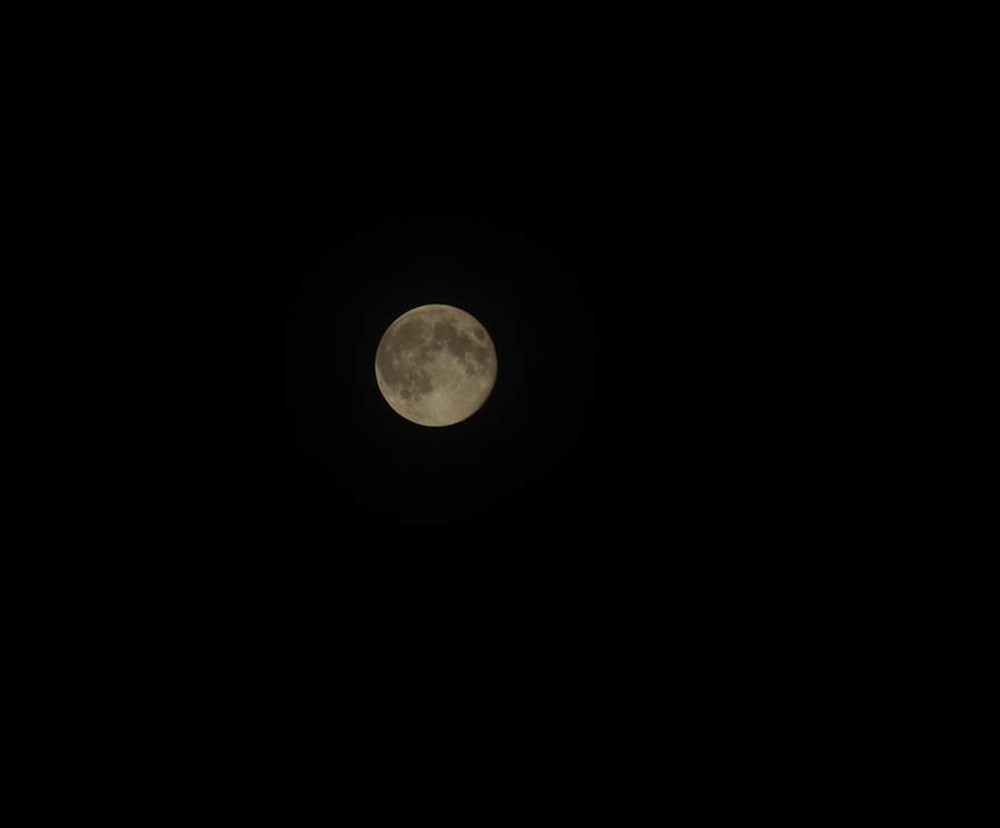 2010 928.jpg