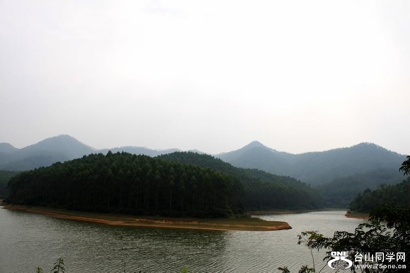 19_2907_701cde9093de5b2-copy.jpg