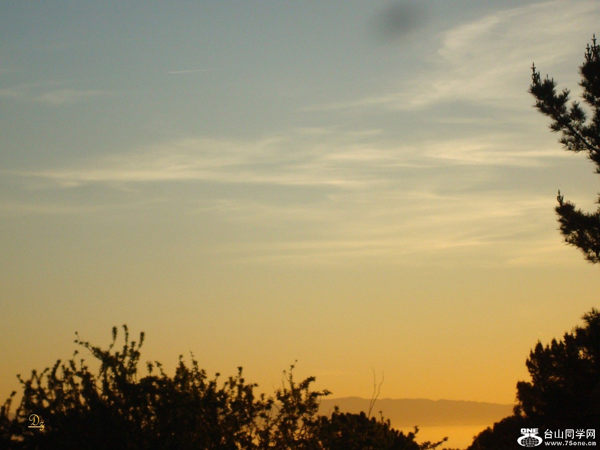 DSC07327-dz.jpg