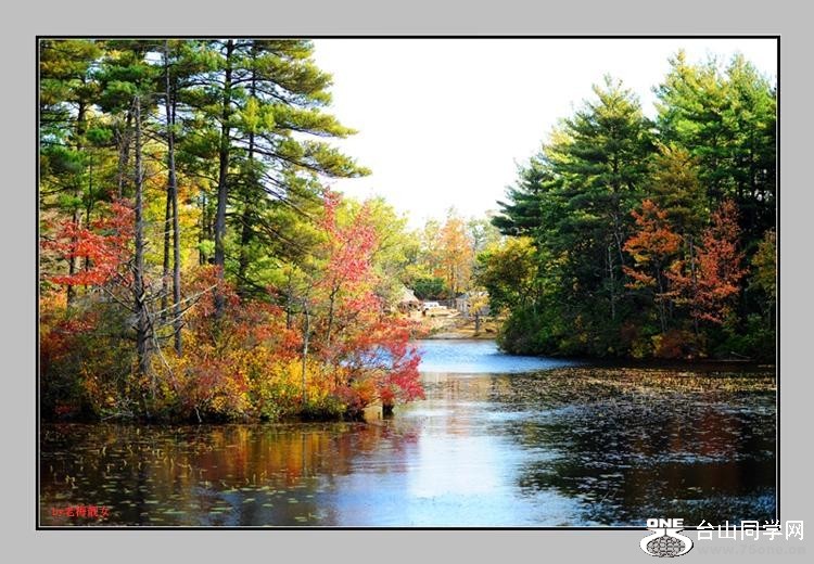 105_35102_40c9050f13a7ae0-copy1.jpg