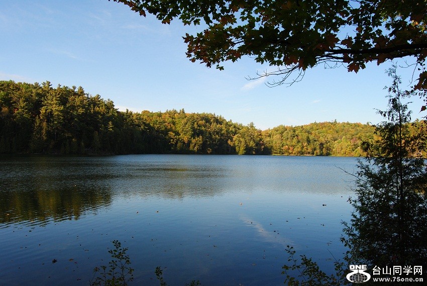 DSC_7568.JPG