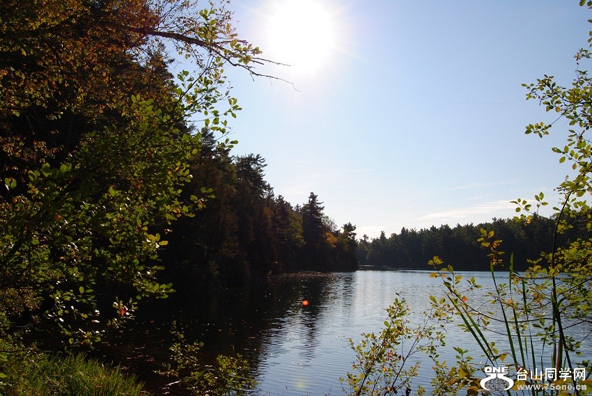 DSC_7551.JPG