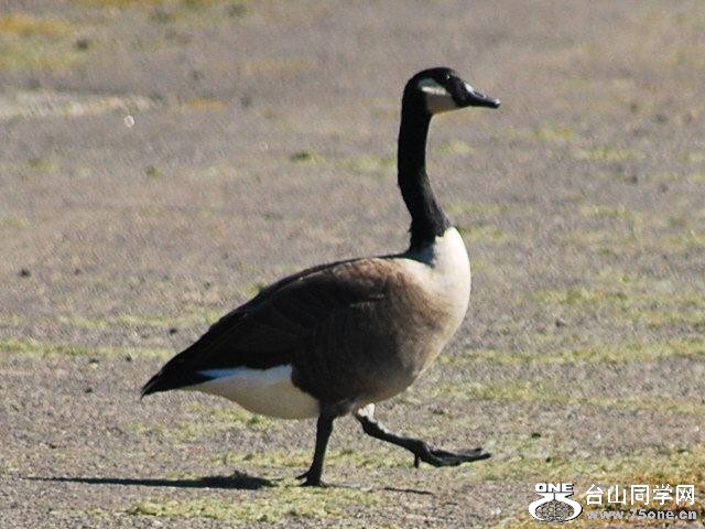 210_6403_e5c199ab31c0086[1].jpg