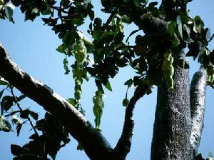 01300000185581123553579641072_s[1].jpg