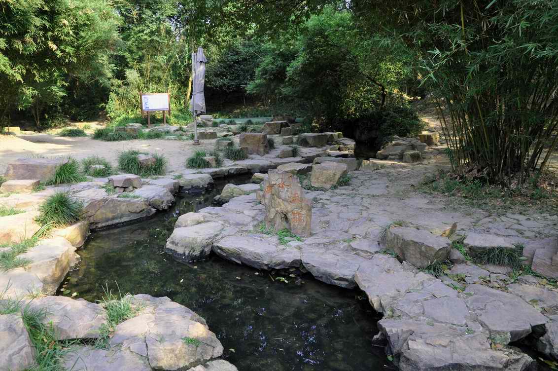 010815 247.jpg