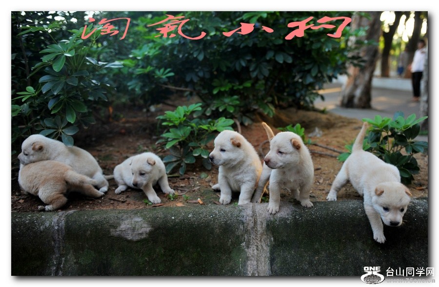 DSC_06171_conew1.jpg