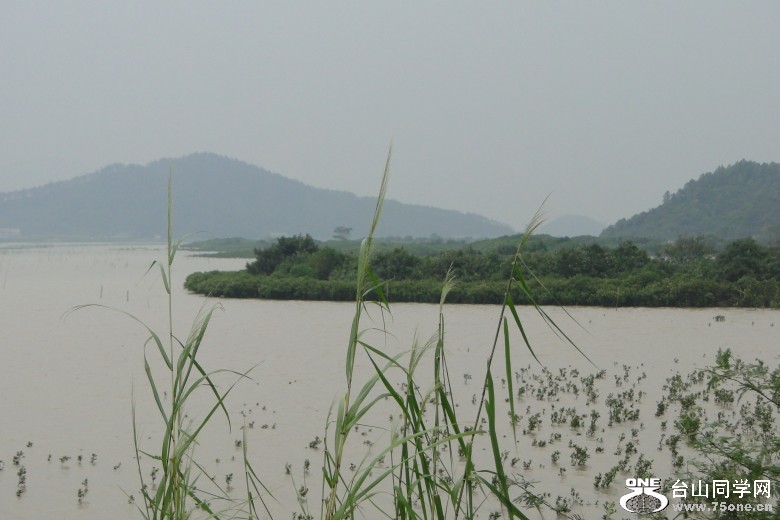DSC05856_conew1.jpg