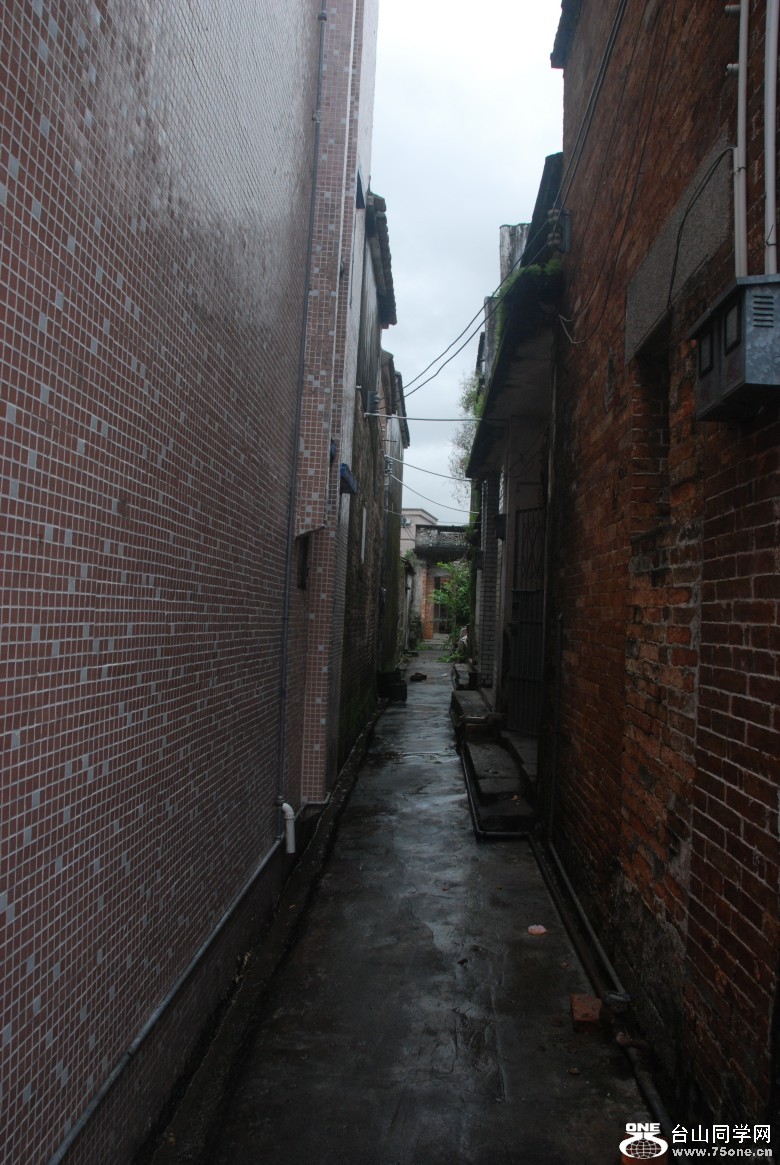 DSC_0479_conew1.jpg