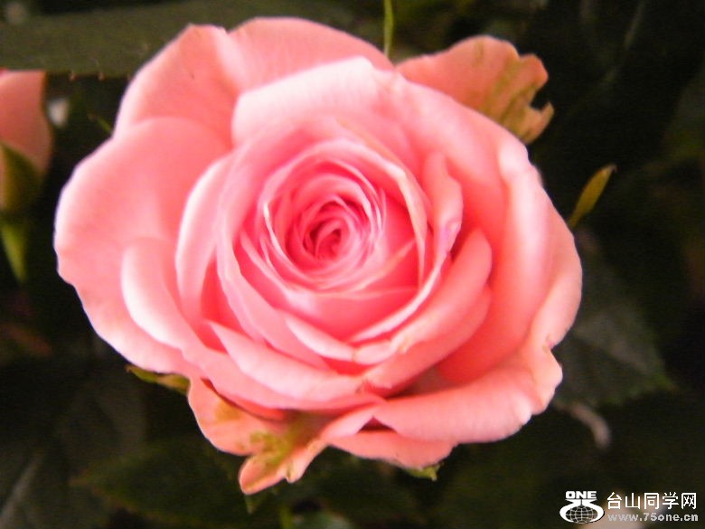 DSCF2846.JPG