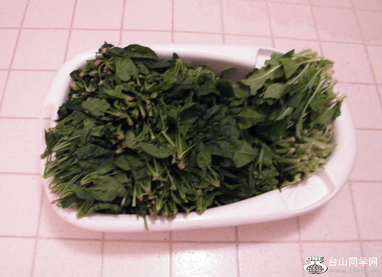 DSCF8805.JPG