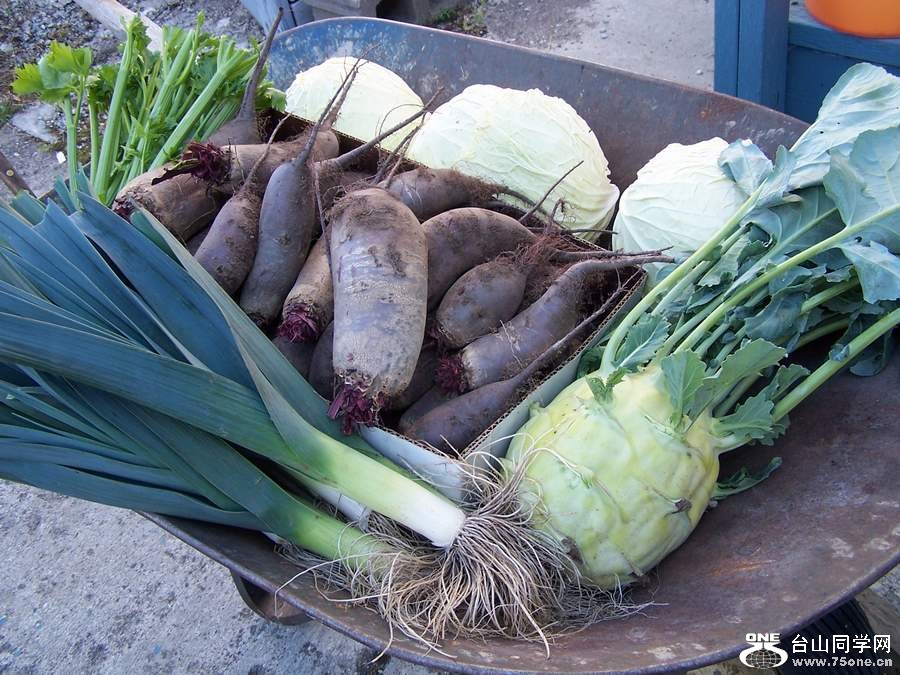 2010 10646.jpg