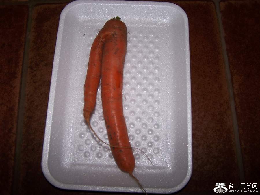 2010 10653.jpg