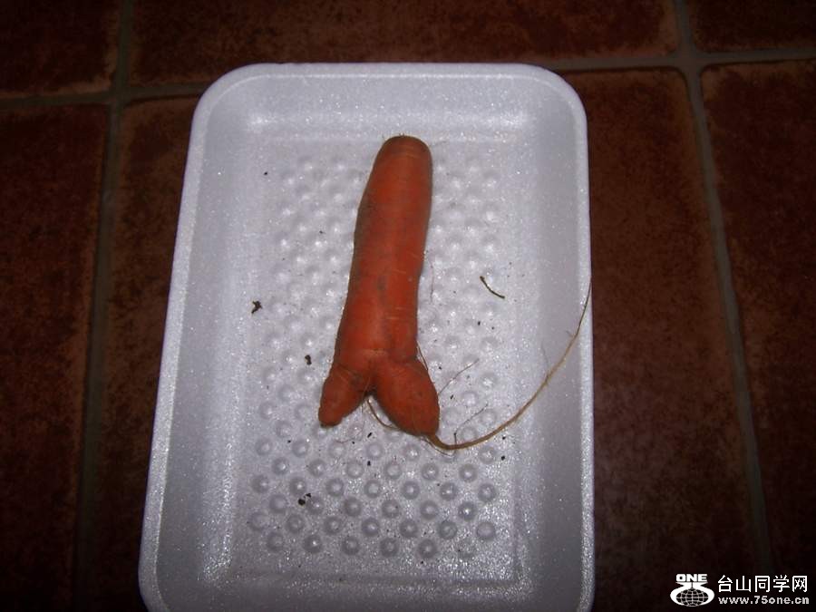 2010 10656.jpg