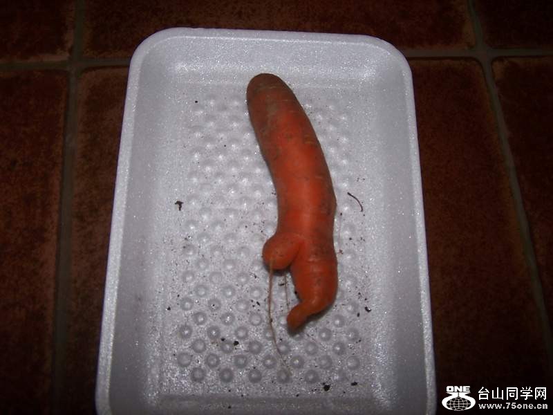 2010 10661.jpg