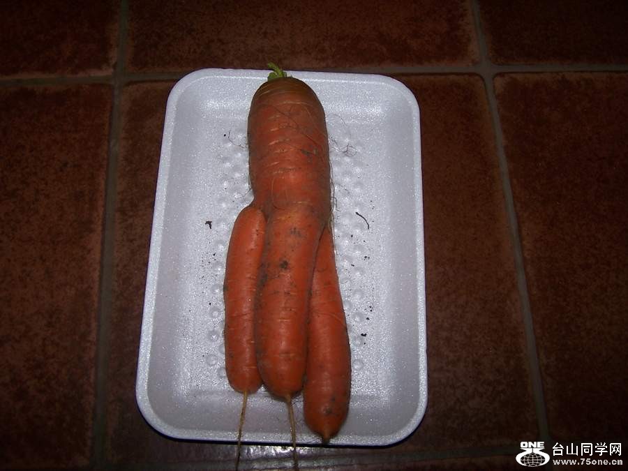 2010 10657.jpg